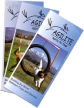 Agilite - Agility for Dogs