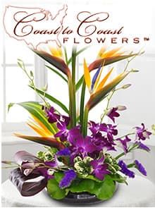 Coast to Coast Floral