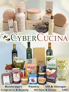 CyberCucina Gourmet 