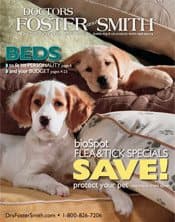 Doctors Foster and Smith