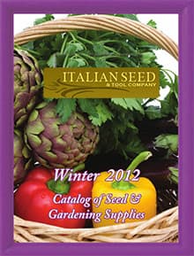 Italian Seed