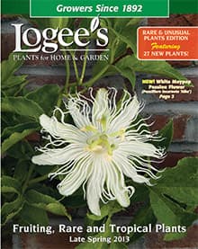 Logee's