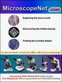 Microscopenet