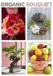 Organic Bouquet