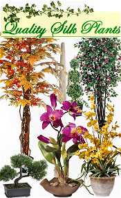 Silk Plants