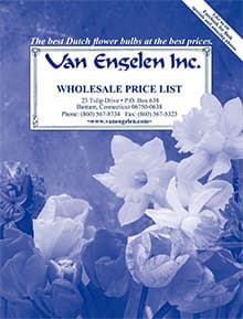 Van Engelen