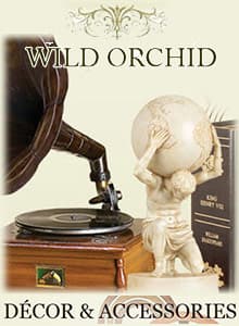 Wild Orchid