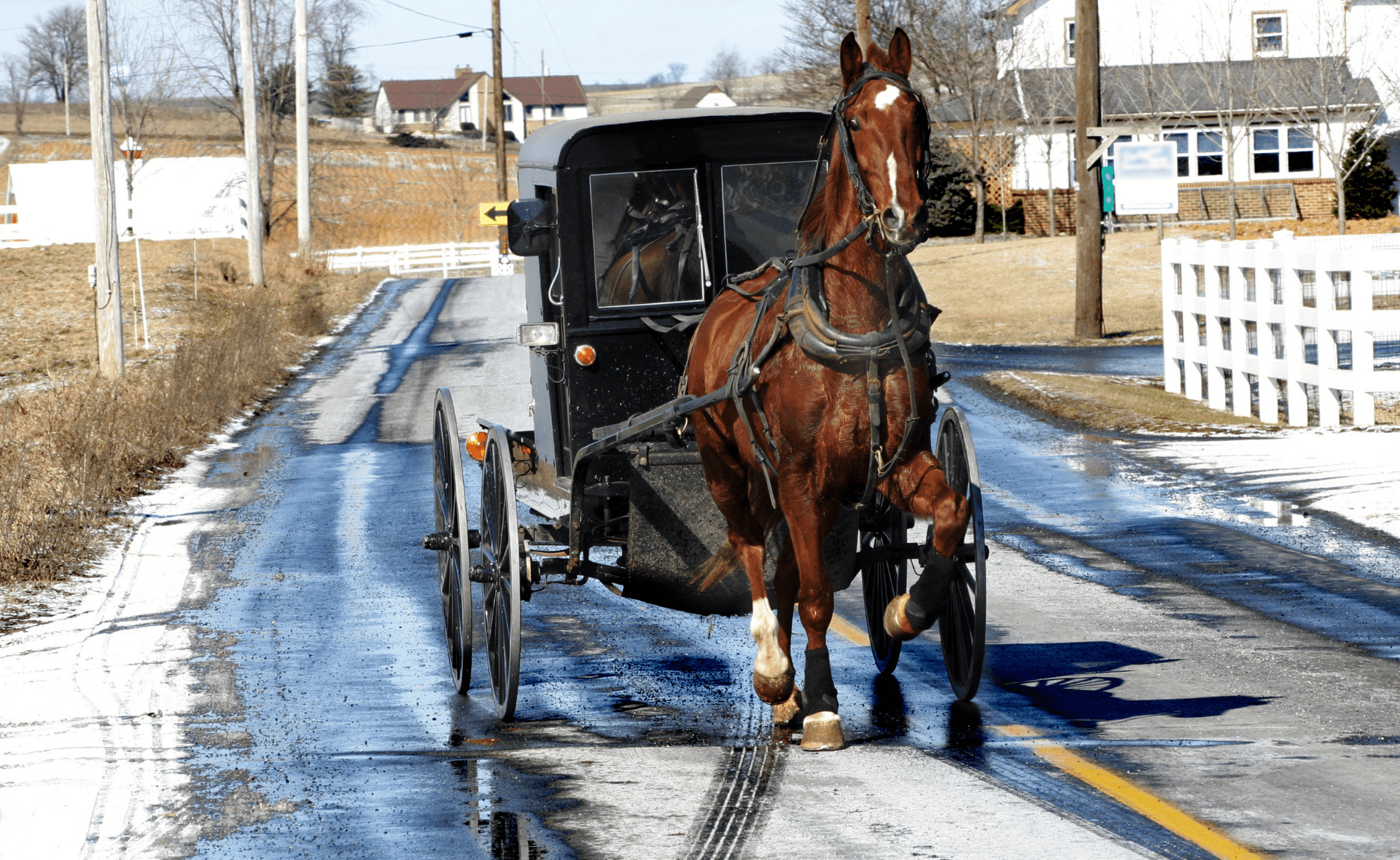 Popular Amish Goods and Products You Should Not Miss Shopping