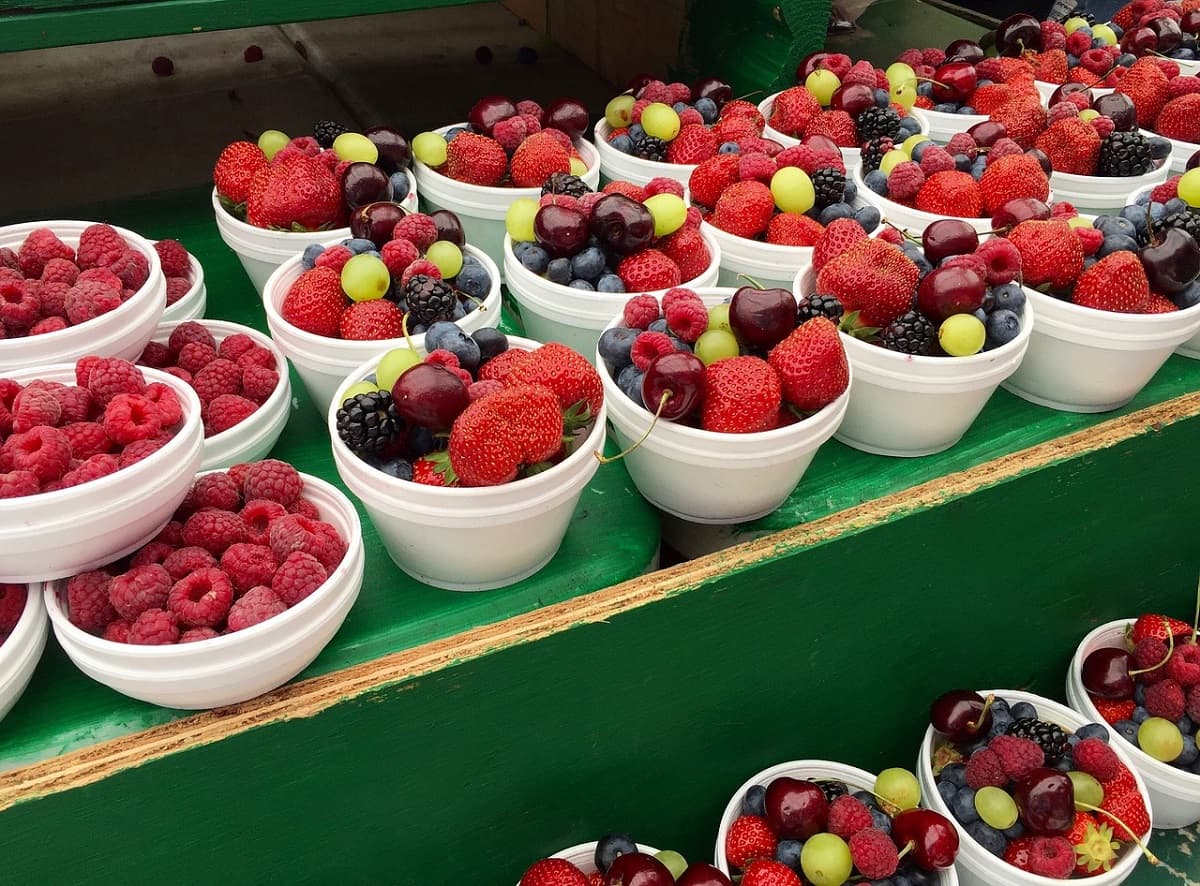 Antioxidant Fruits to Add to Your Diet