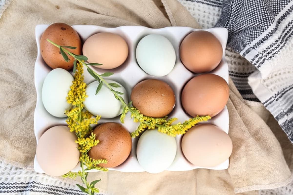 Simple Morning Egg Dishes