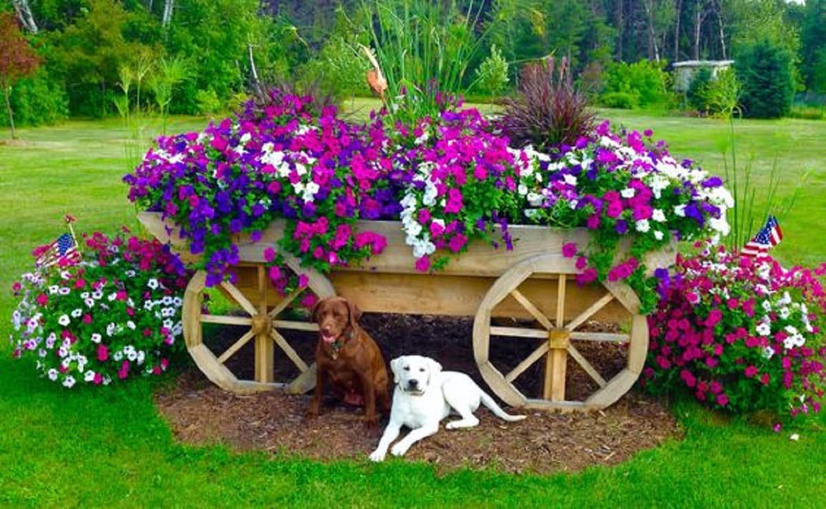 Most Unusual Plants to Grow This Year