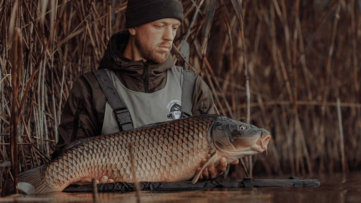 6 Tips for Fishing on Rainy Days: Advice to Master Fishing in Wet Weather