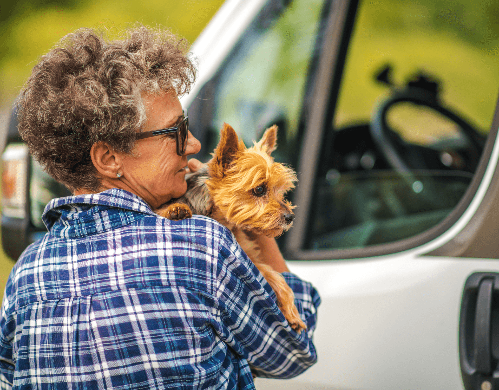 How to Protect your Car when Traveling with Pets