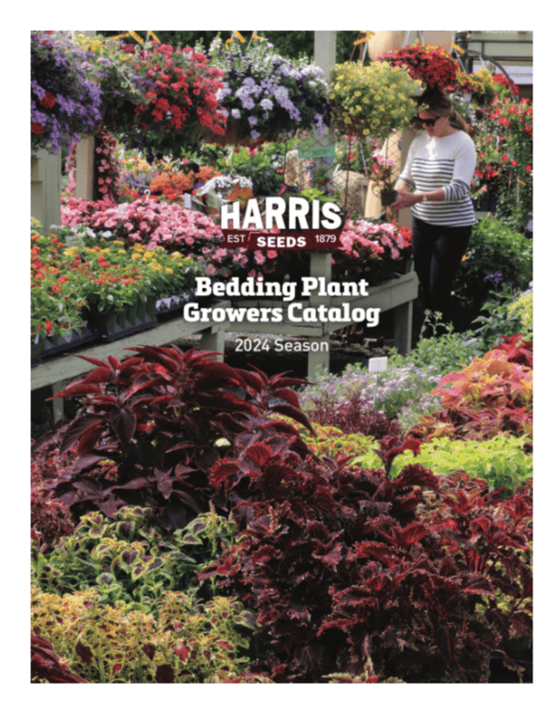 Harris Seeds