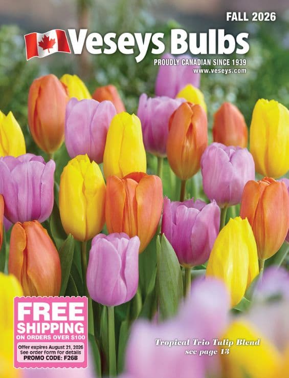 Veseys Bulbs