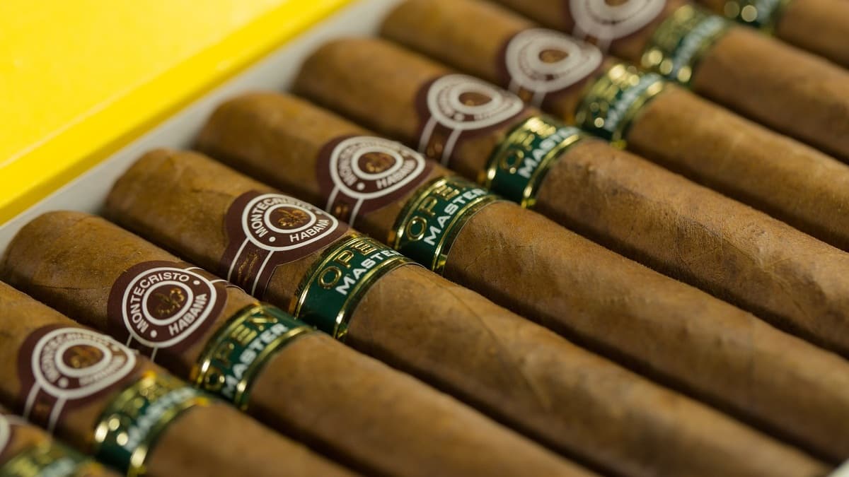 Most Popular Cigar-Smoking Hunks You May Have Not Known