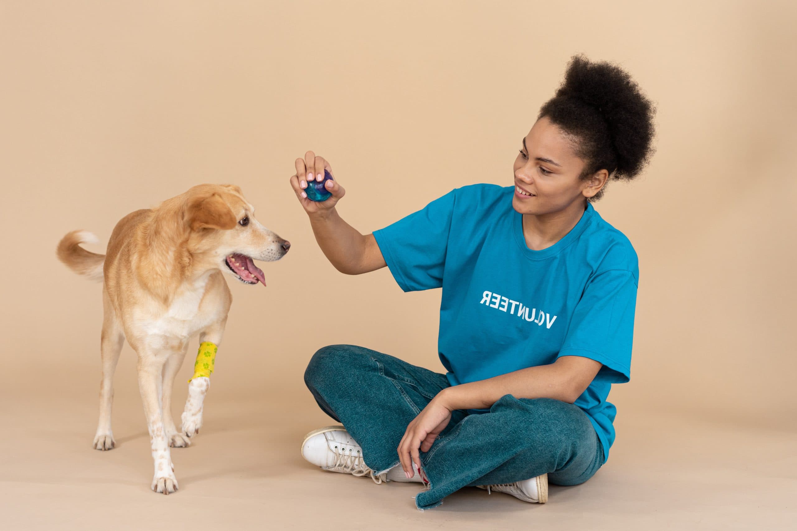 Is Pet Insurance Worth the Cost? Best Pet Care Guide
