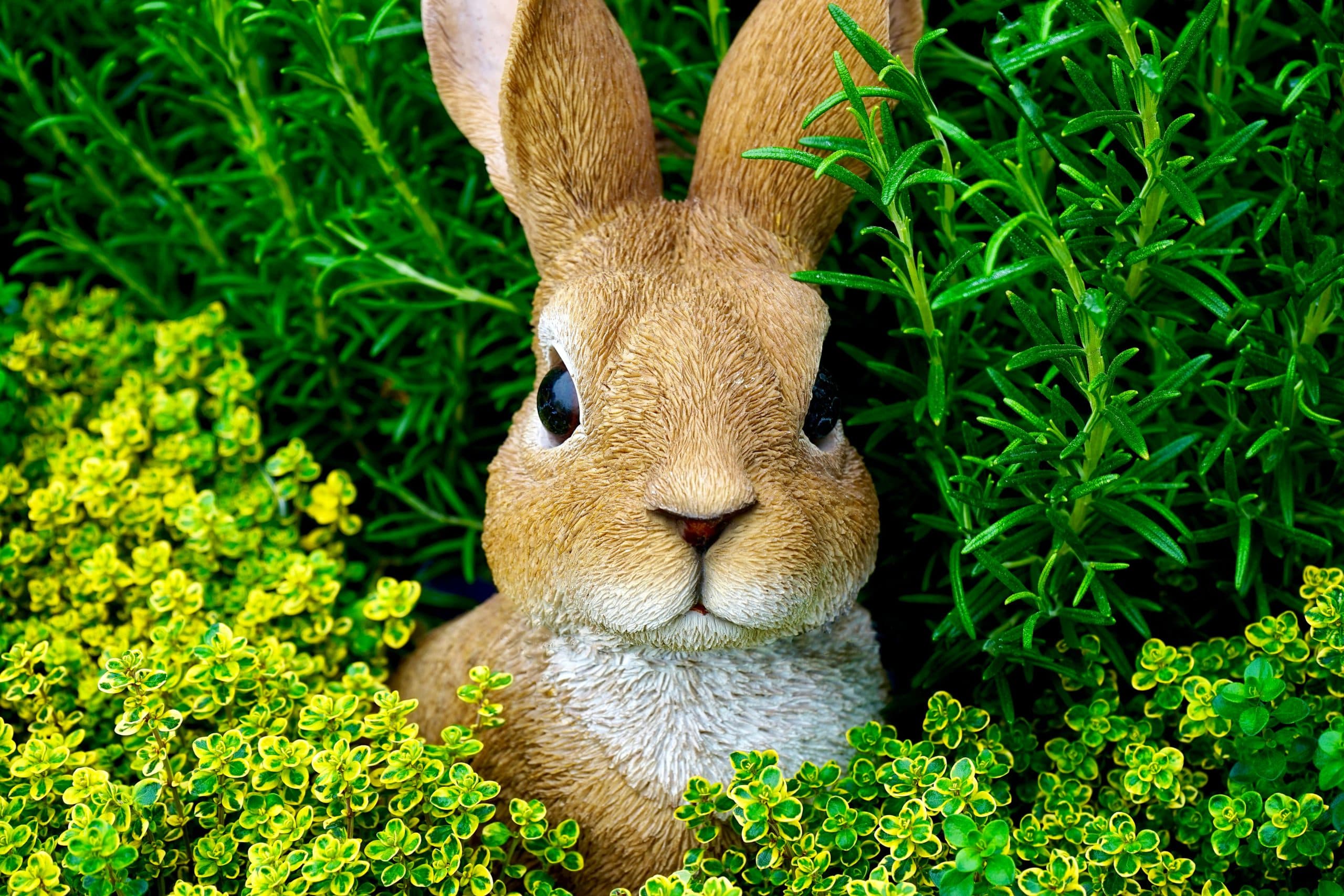History of the Easter Bunny: Things You Should Know