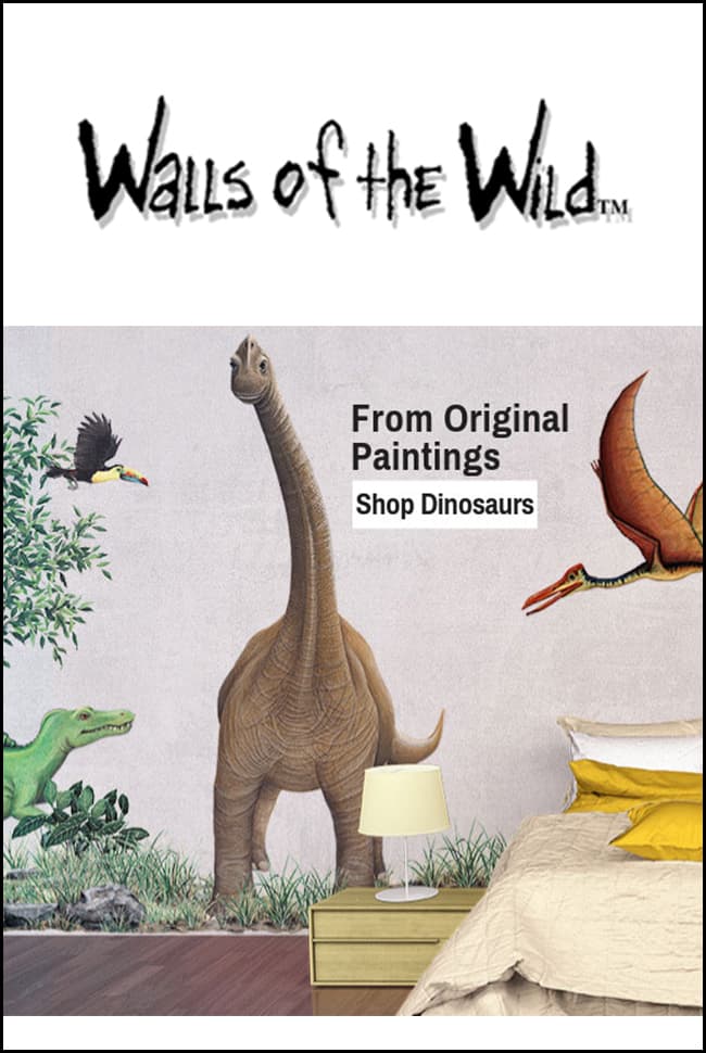 Walls of the Wild catalog cover