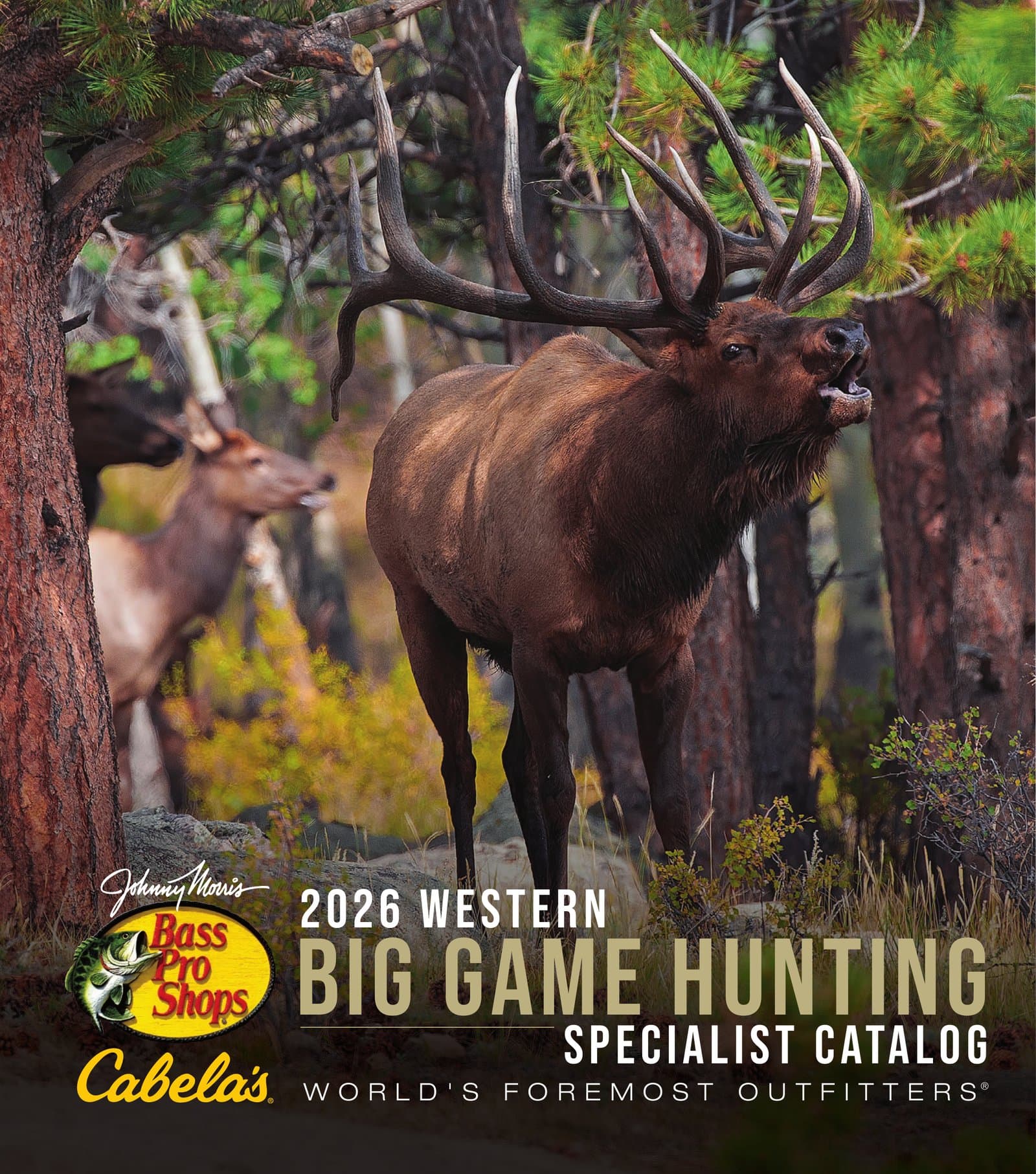 Cabela's Western Big Game